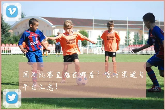 国足比赛直播在哪看?官方渠道与平台汇总!